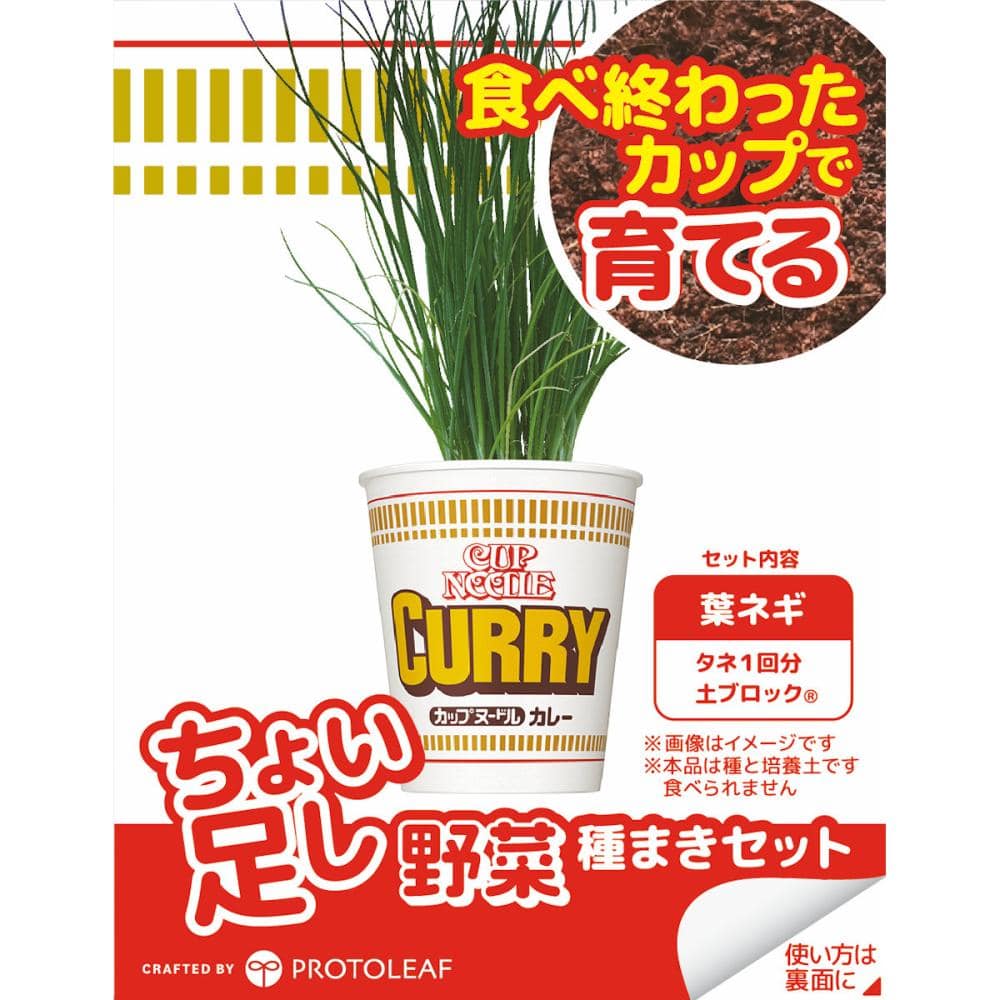 ちょい足し野菜　栽培キット　葉ネギ