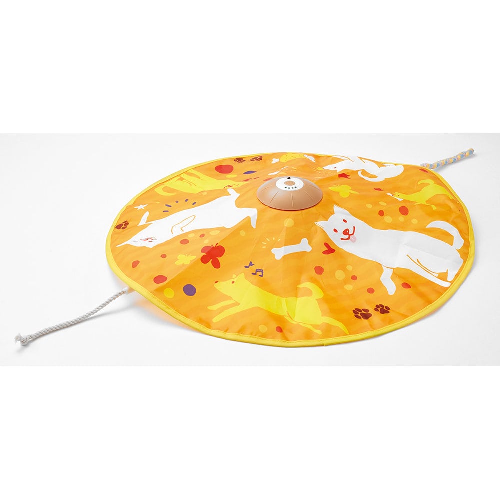 マルカン　ゴン太のゴーゴーくるくるわんわん