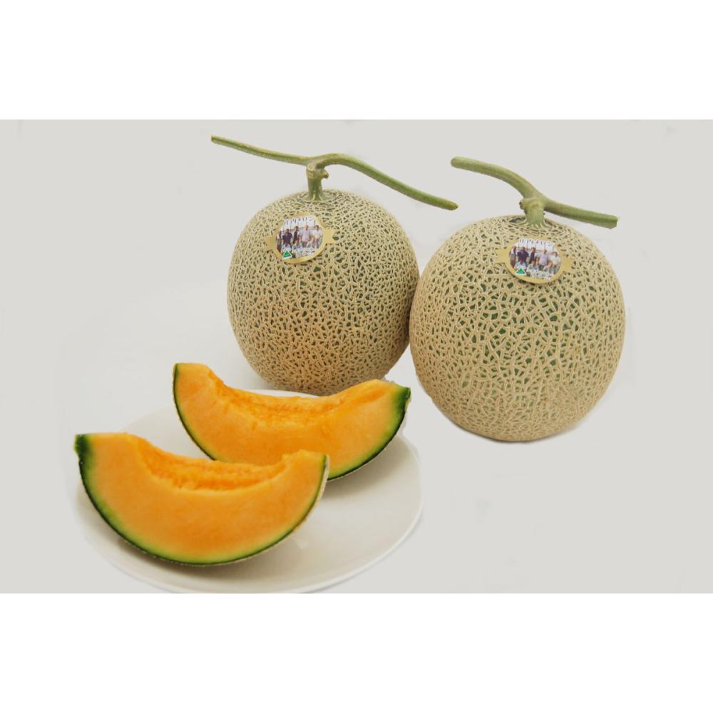 新潟県認証特別栽培　太田農園メロン“GIFT”２玉（赤肉２玉）　つる有り【注文期限：7月15日】