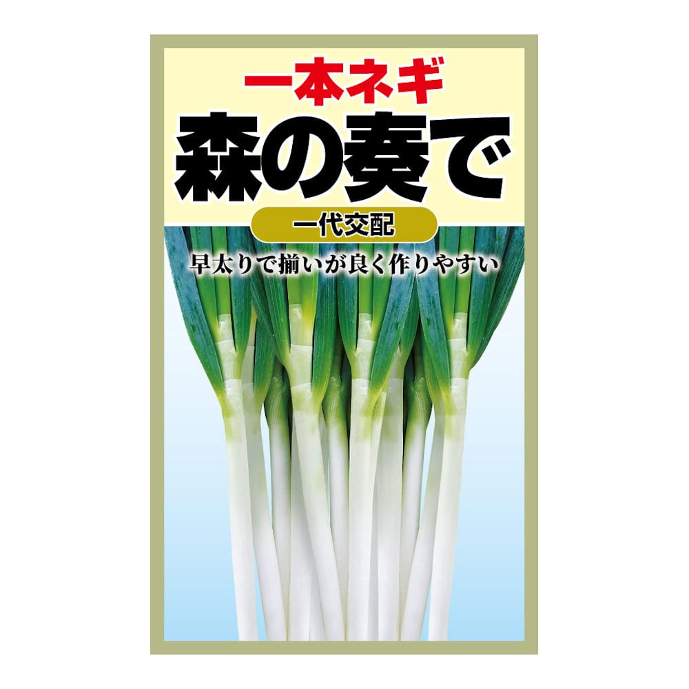一本ネギ　森の奏で