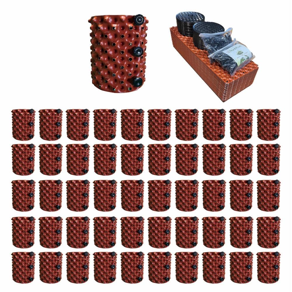 ルートプラスポット（ケース）　ブラウン　１．５Ｌ　５０個入り