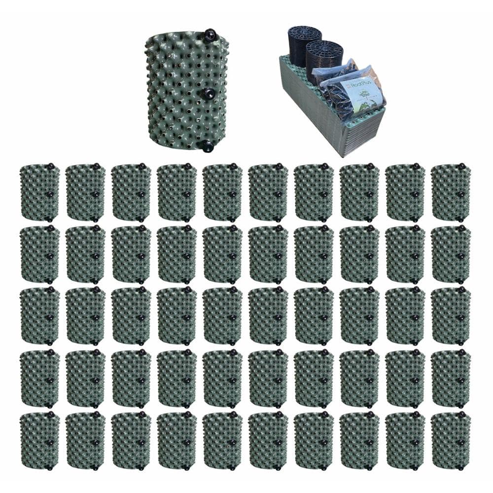 ルートプラスポット（ケース）　グリーン　３Ｌ　５０個入り