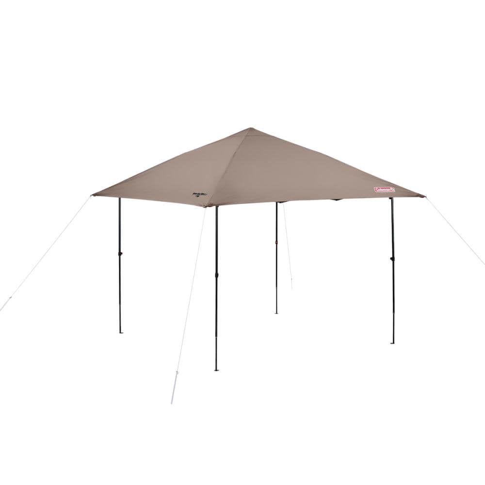 ＣＭ　インスタントバイザーシェード２／Ｌ（グレージュ）