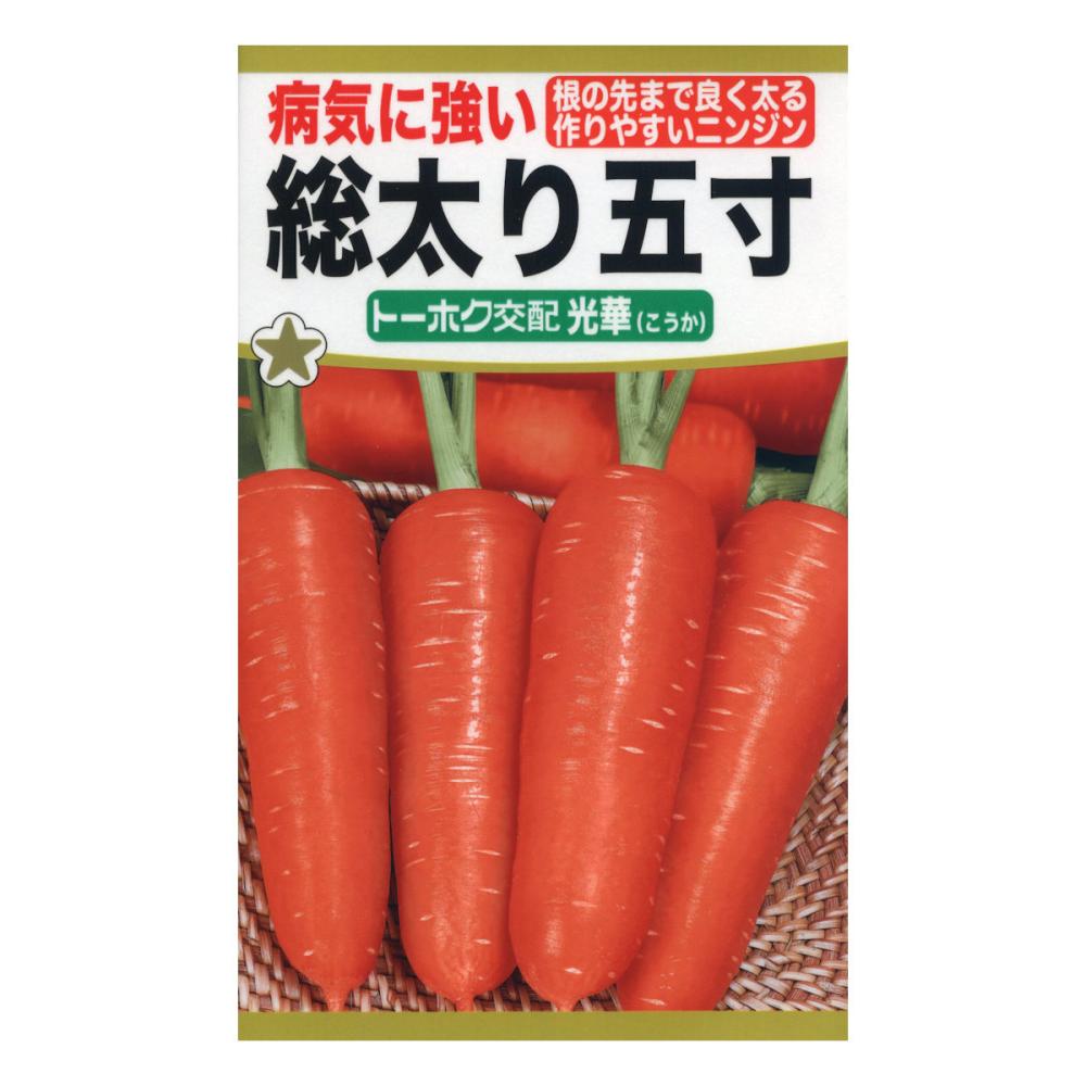 トーホク交配　ニンジン種子　Ｆ１　病気に強い総太り五寸　光華