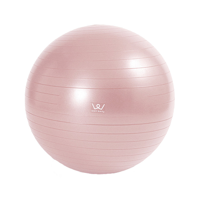 エクササイズボール　５５ｃｍ　ＷＢＦ０５５
