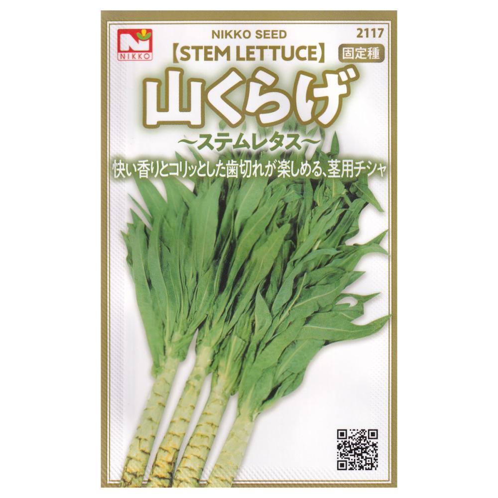 【宅配専用】　葉菜種子　やまくらげ