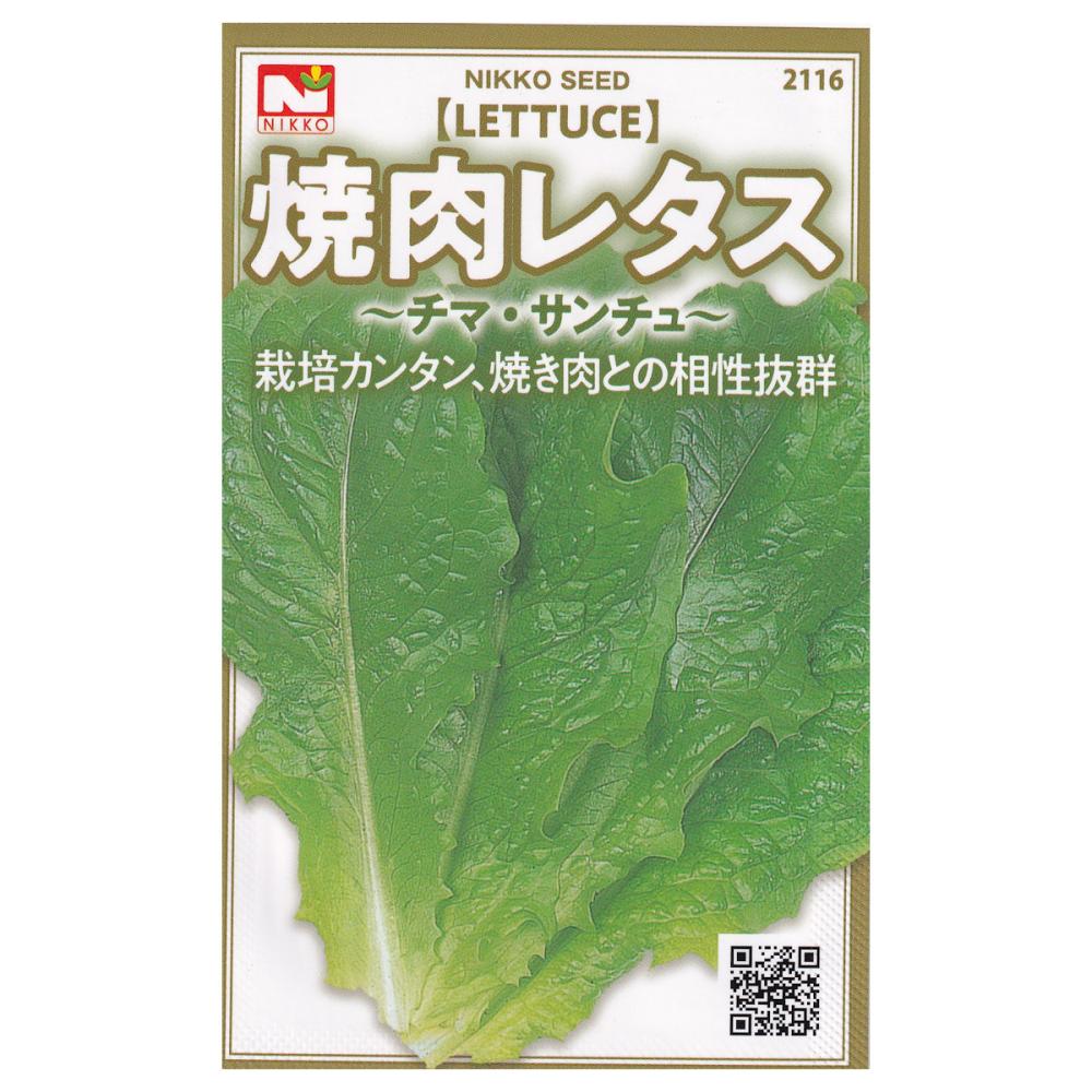 【宅配専用】　レタス種子　チマサンチュ