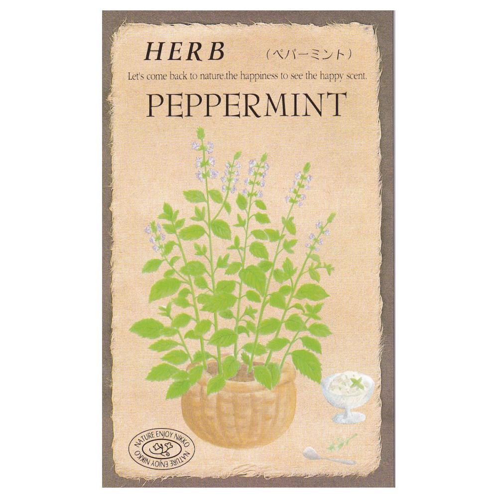 【宅配専用】　ハーブ種子　ペパーミント