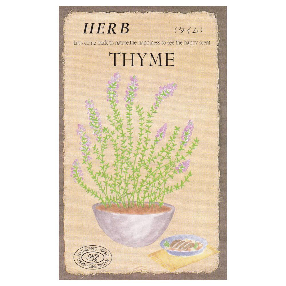 【宅配専用】　ハーブ種子　タイム