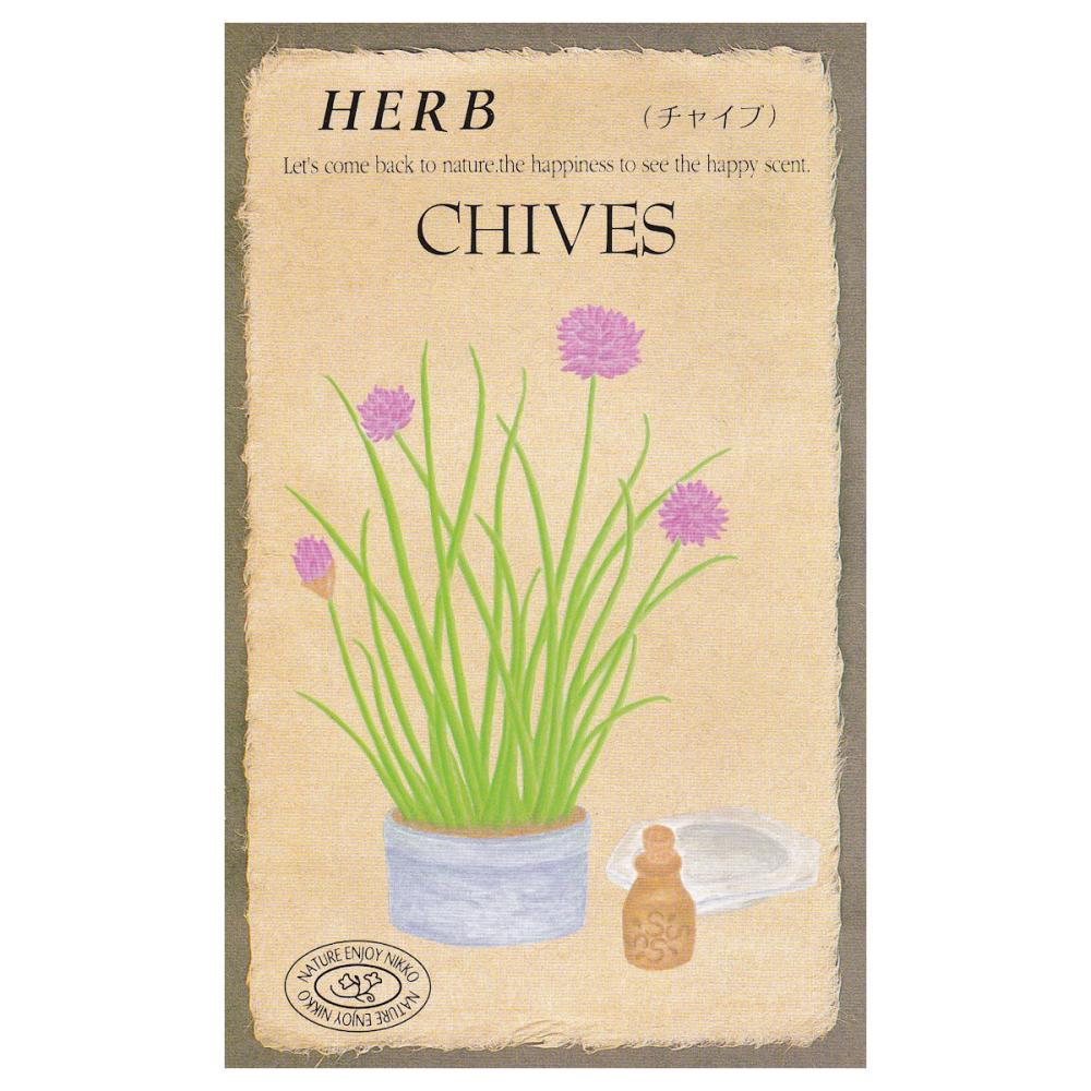 【宅配専用】　ハーブ種子　チャイブ