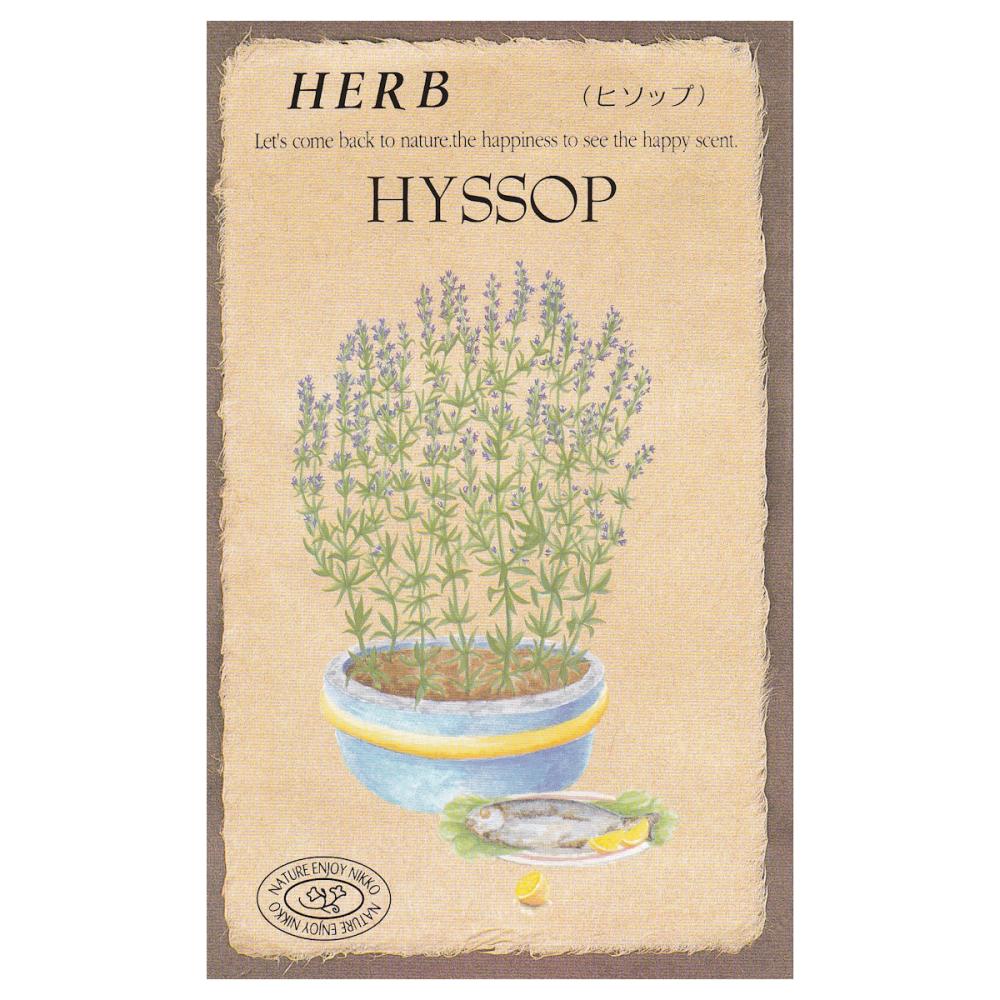 【宅配専用】　ハーブ種子　ヒソップ