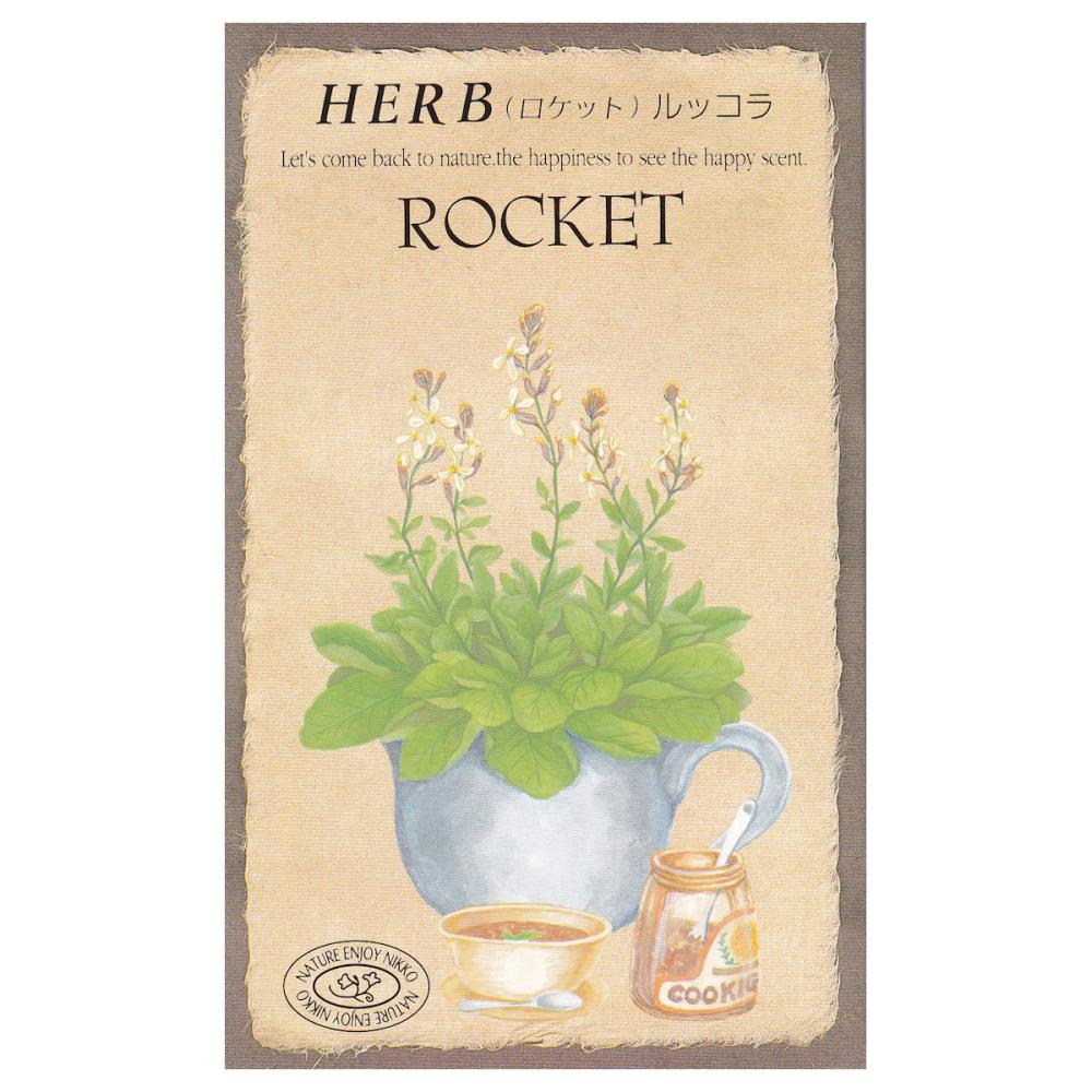 【宅配専用】　ハーブ種子　ロケット