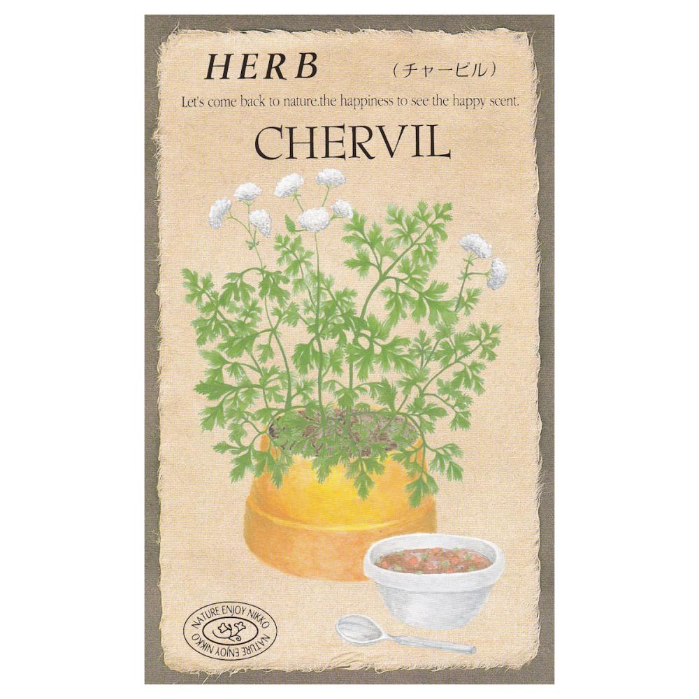 【宅配専用】　ハーブ種子　チャービル
