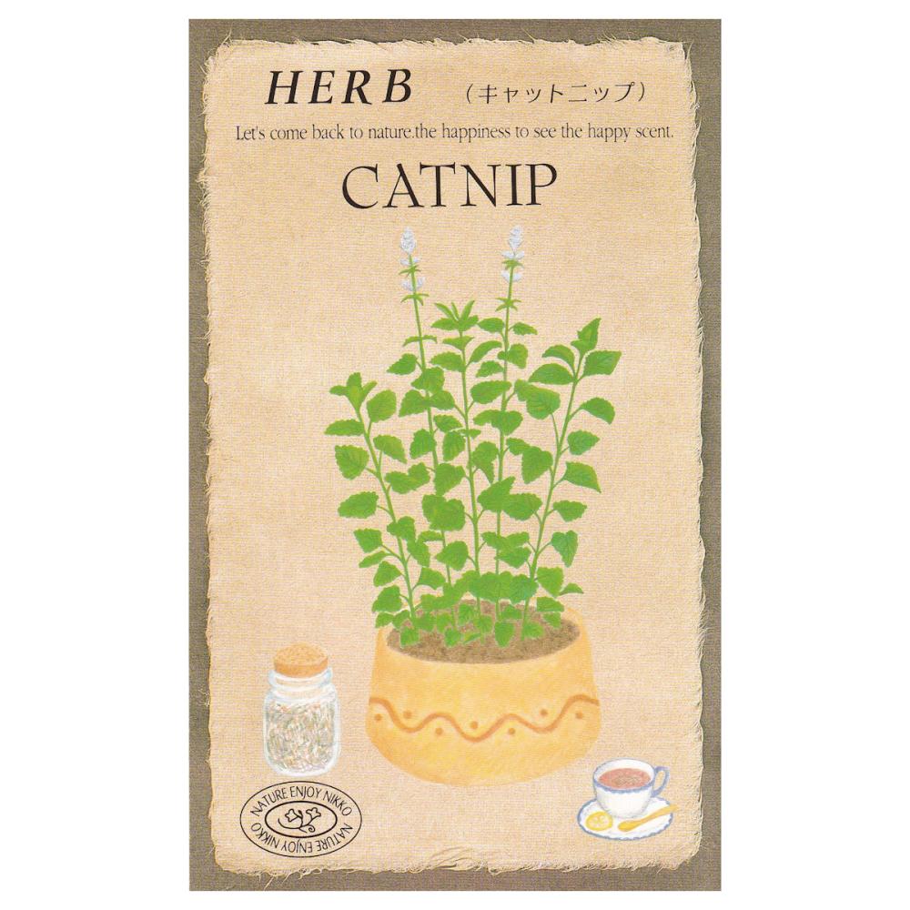 【宅配専用】　ハーブ種子　キャットニップ