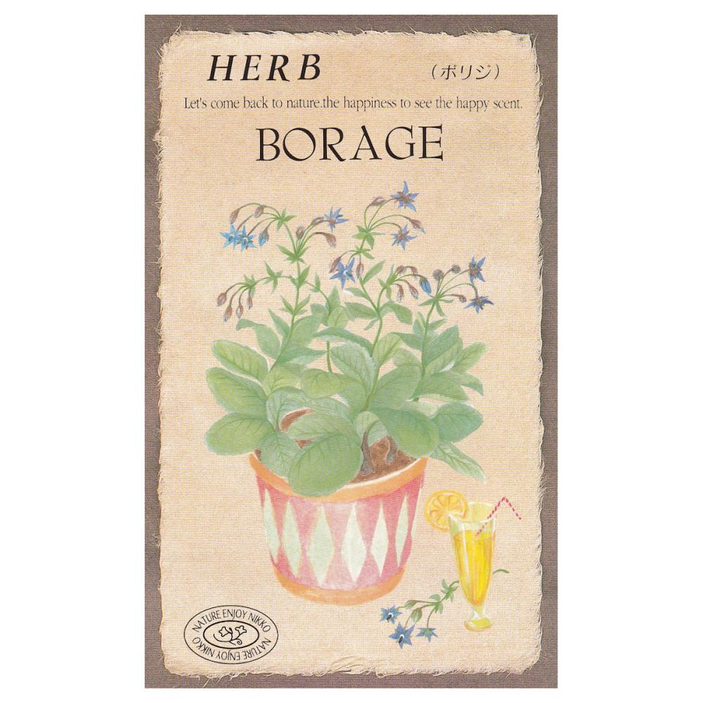 【宅配専用】　ハーブ種子　ボリジ