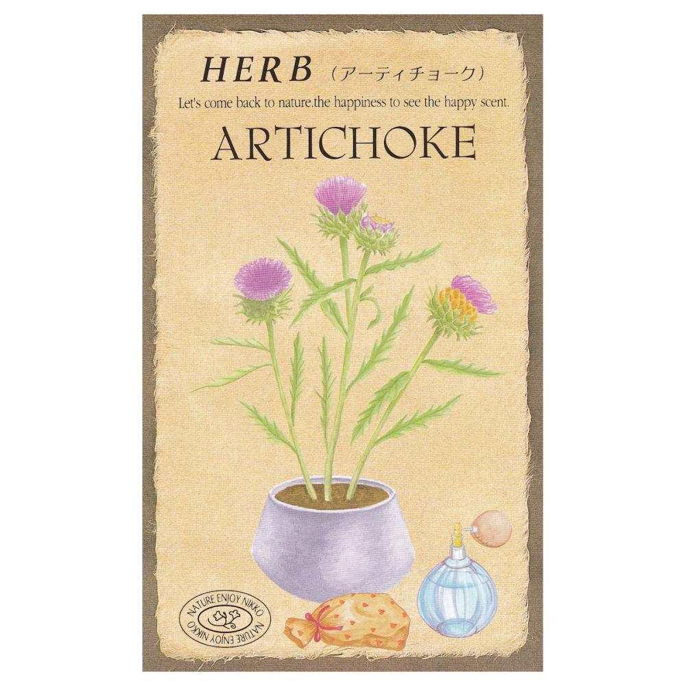 【宅配専用】　ハーブ種子　アーティチョーク
