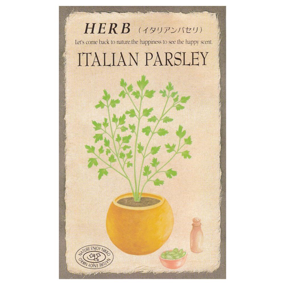 【宅配専用】　ハーブ種子　イタリアンパセリー