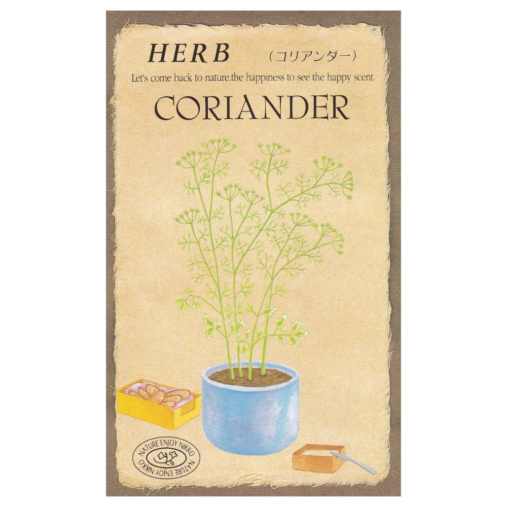【宅配専用】　ハーブ種子　コリアンダー
