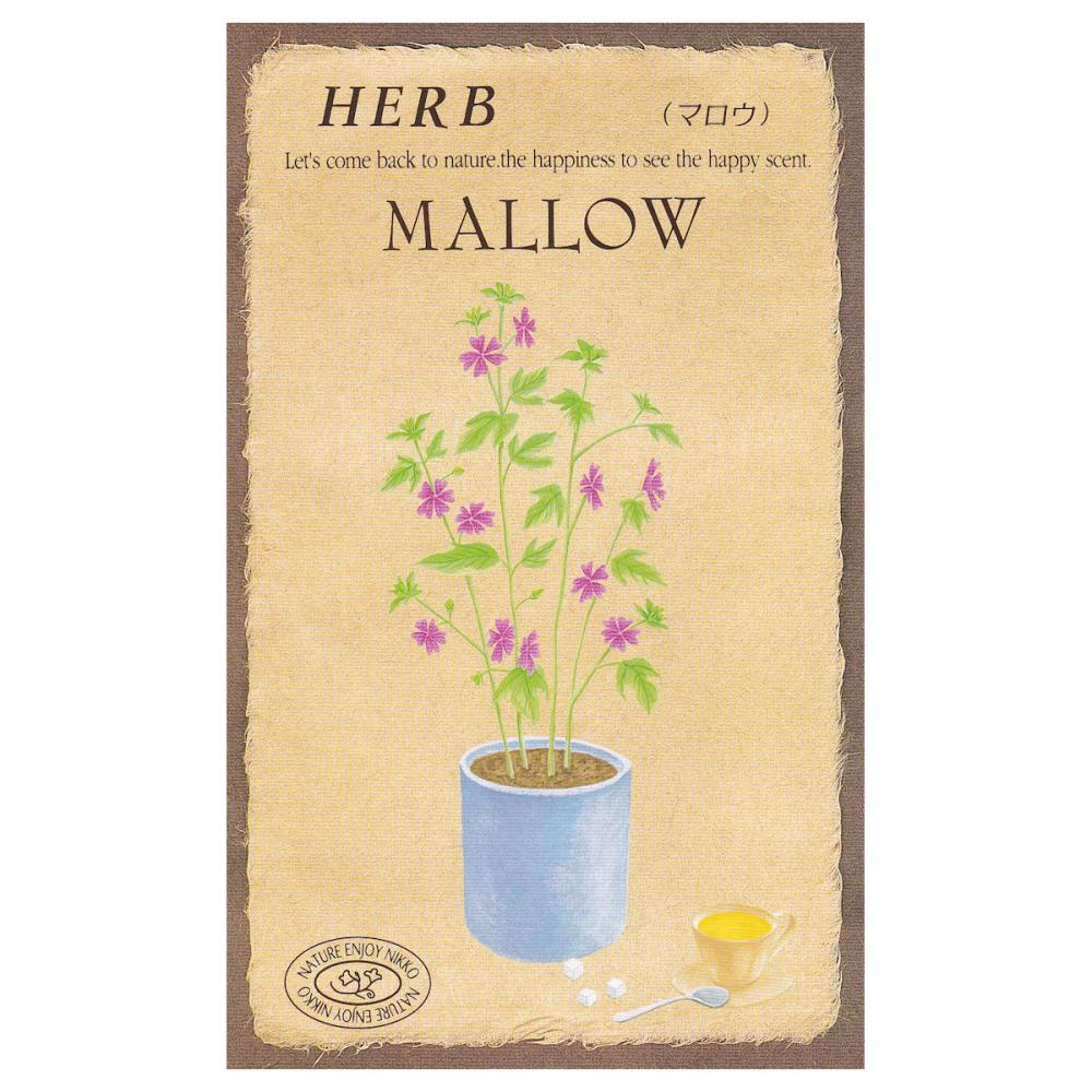 【宅配専用】　ハーブ種子　マロウ