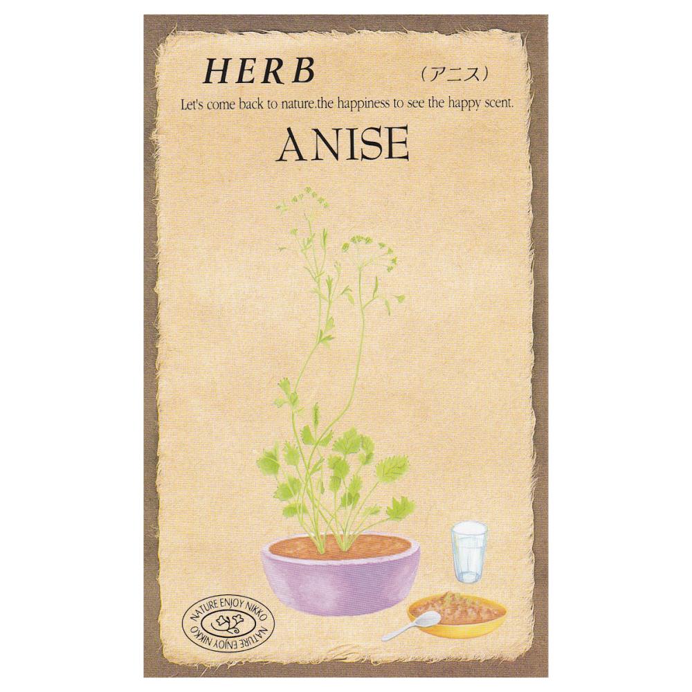 【宅配専用】　ハーブ種子　アニス