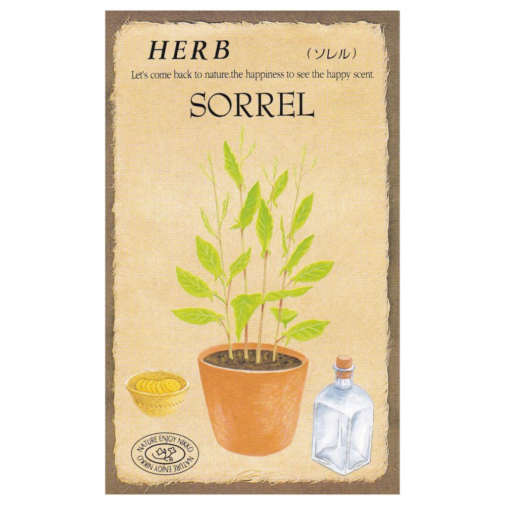 【宅配専用】　ハーブ種子　ソレル