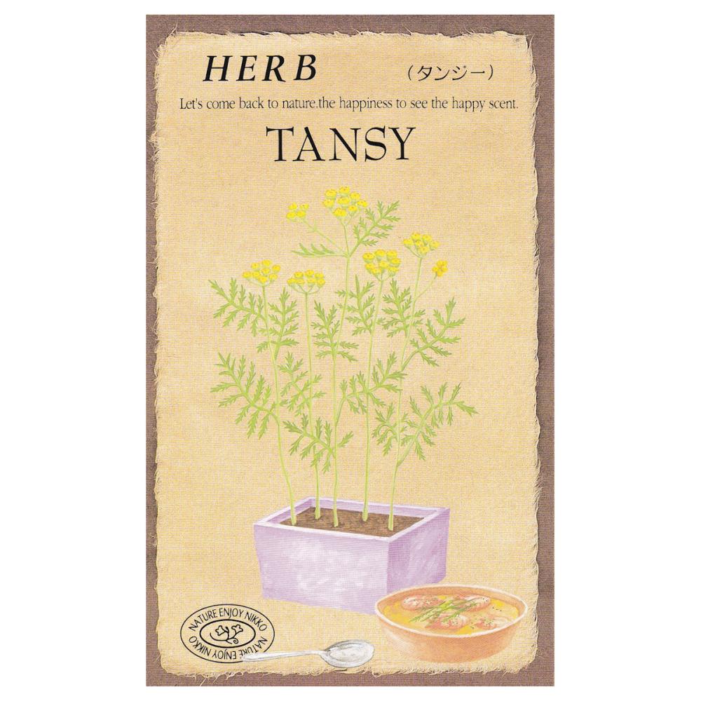【宅配専用】　ハーブ種子　タンジー