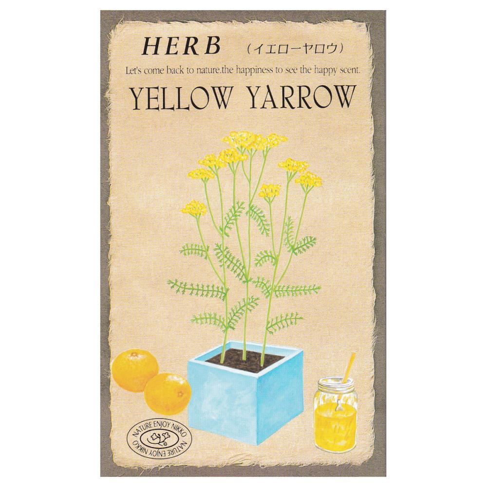 【宅配専用】　ハーブ種子　イエローヤロー