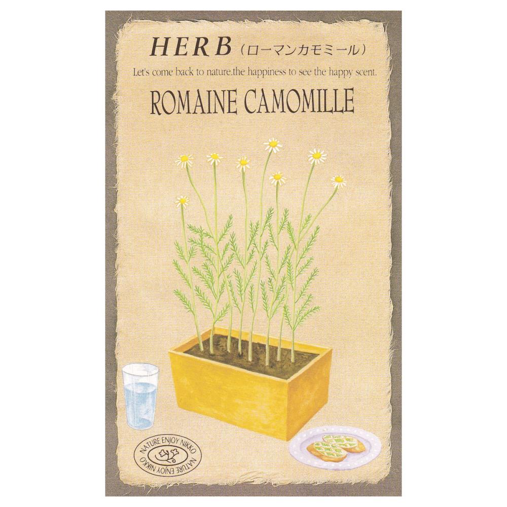 【宅配専用】　ハーブ種子　ローマンカモミール