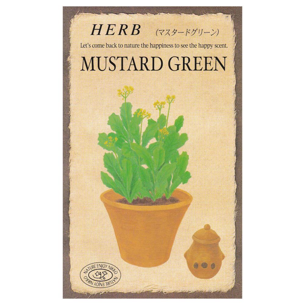 【宅配専用】　ハーブ種子　マスタードグリーン