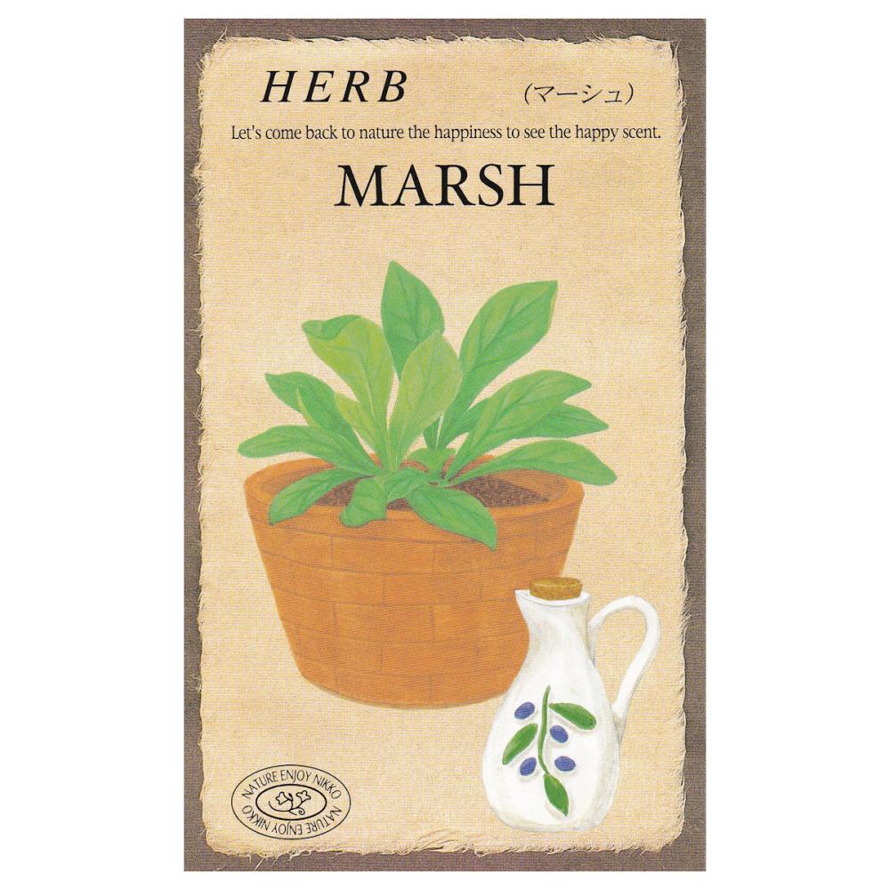 【宅配専用】　ハーブ種子　マーシュ