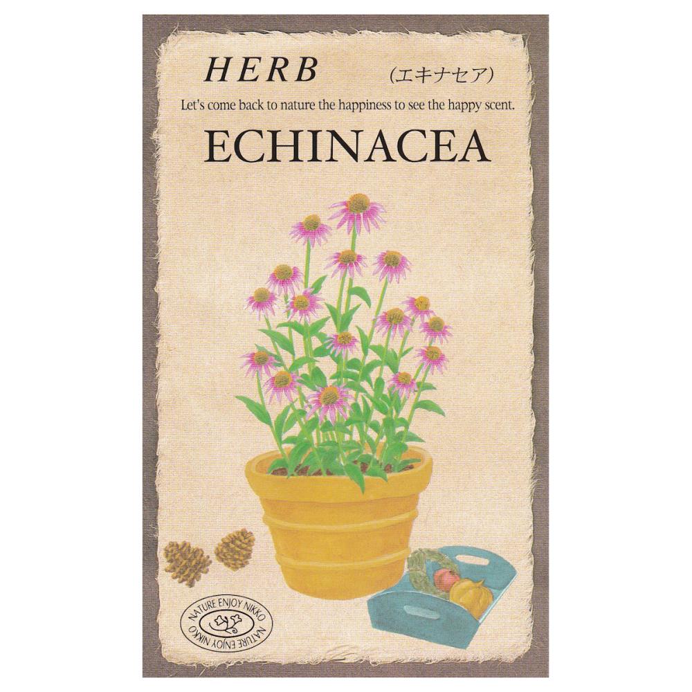 【宅配専用】　ハーブ種子　エキナセア