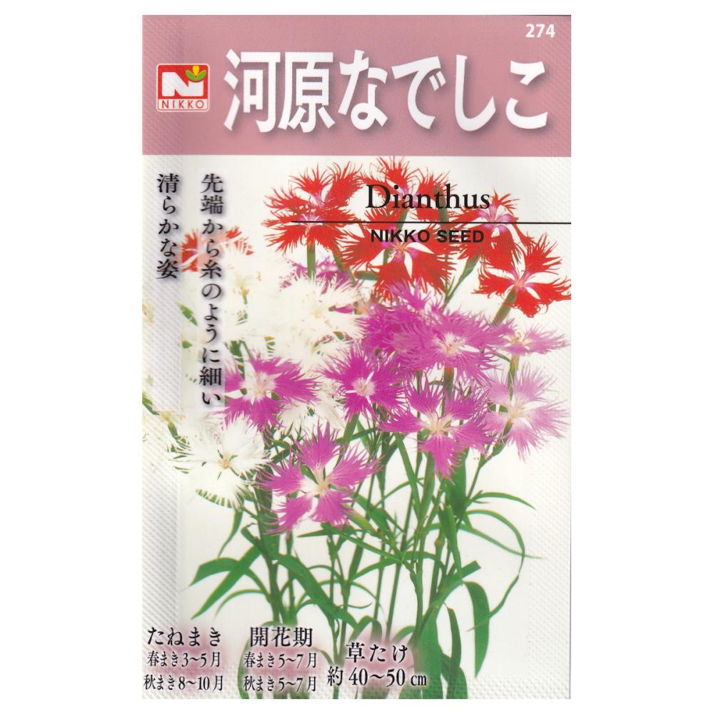 【宅配専用】　草花種子　河原なでしこ