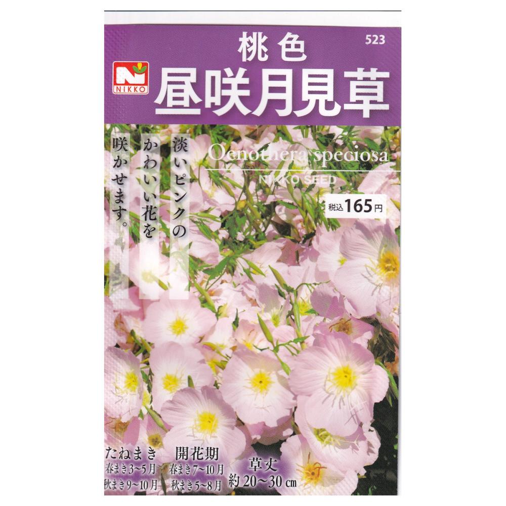 【宅配専用】　草花種子　桃色昼咲月見草