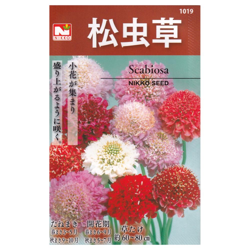 【宅配専用】　草花種子　松虫草