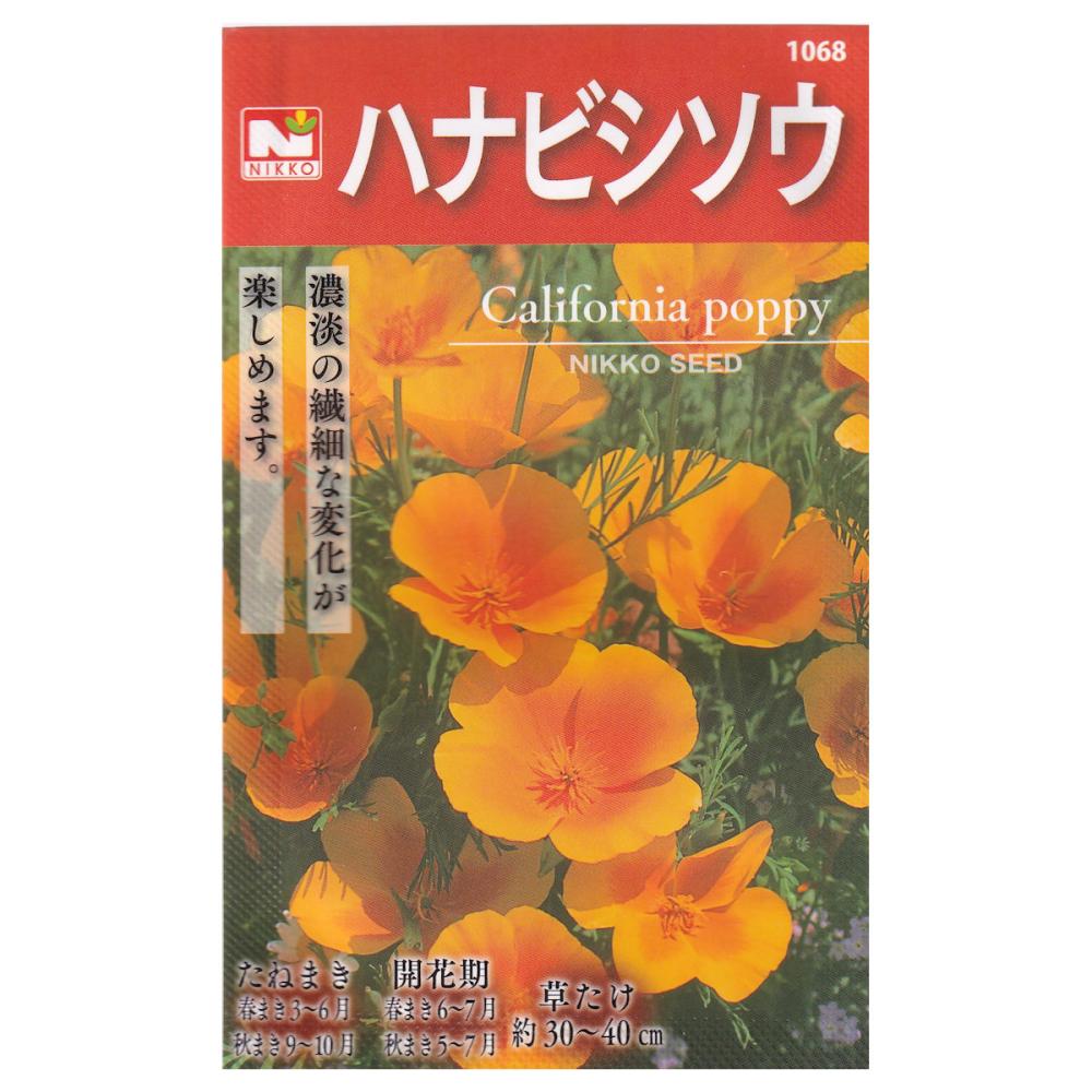 【宅配専用】　草花種子　花びし草