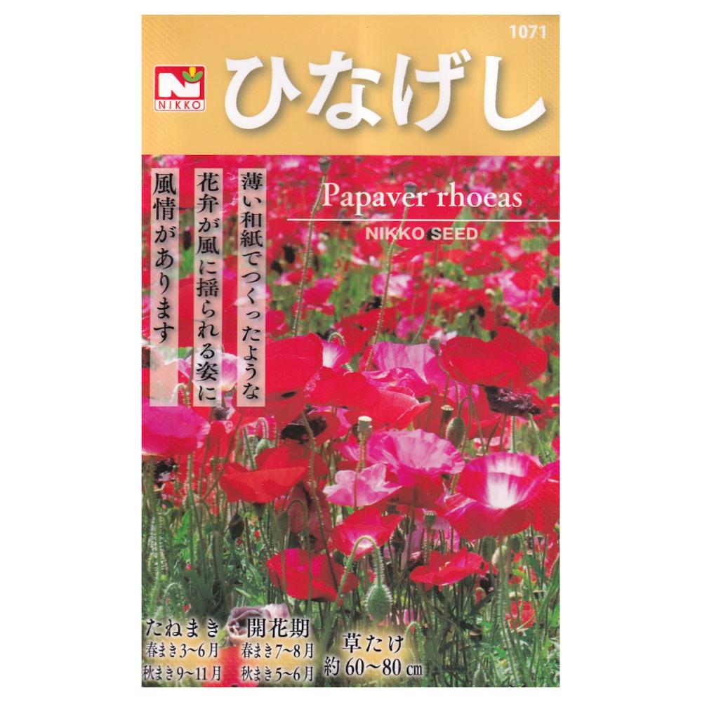 【宅配専用】　草花種子　ひなげし