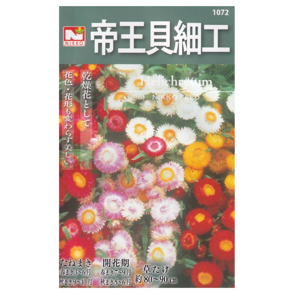 【宅配専用】　草花種子　帝王貝細工