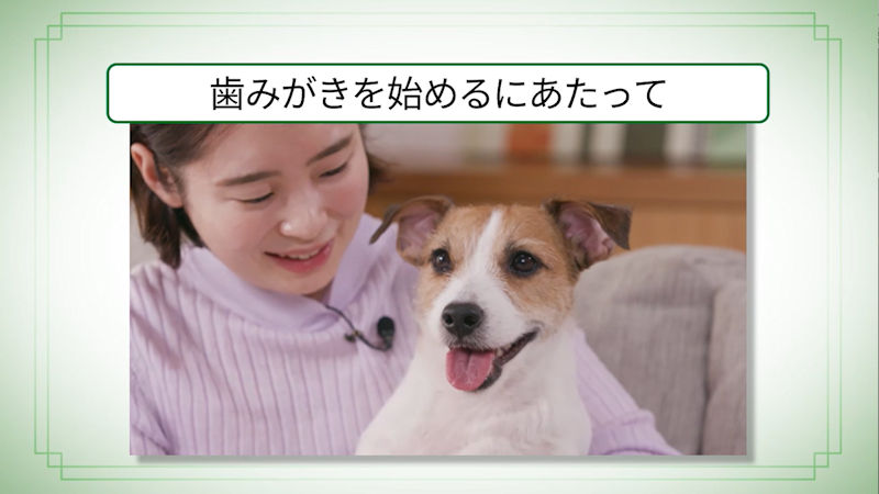 商品動画サムネイル