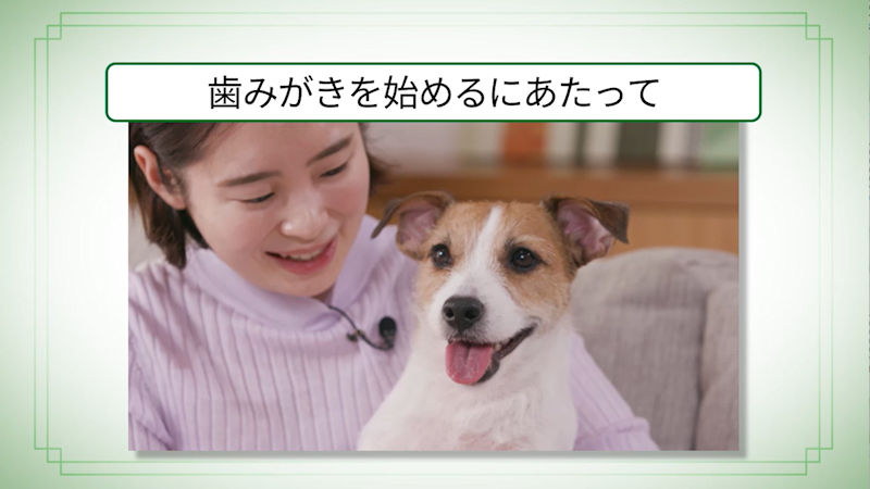 商品動画サムネイル