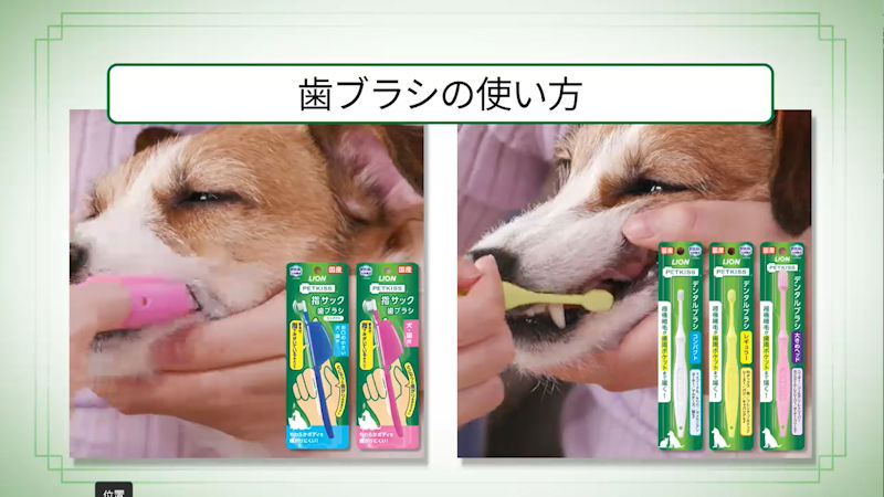 商品動画サムネイル