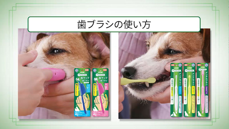 商品動画サムネイル