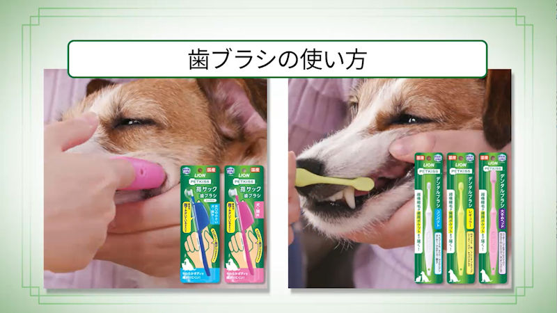 商品動画サムネイル