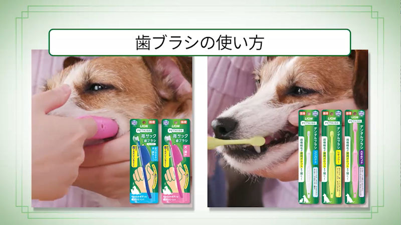 商品動画サムネイル