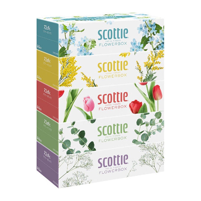 スコッティフラワー　ティッシュ　２５０組×５個入り