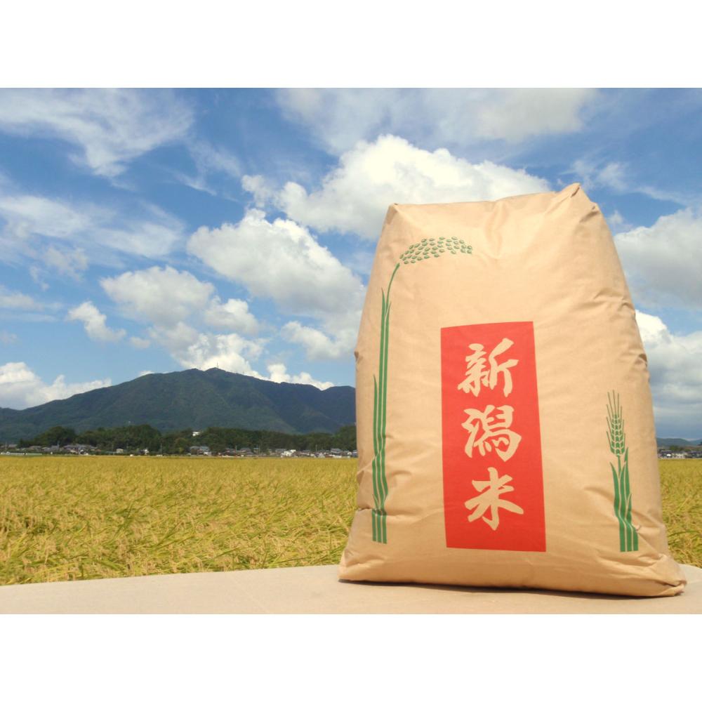 令和７年度　新潟県弥彦村産　石井農園のこだわりコシヒカリ　玄米５ｋｇ