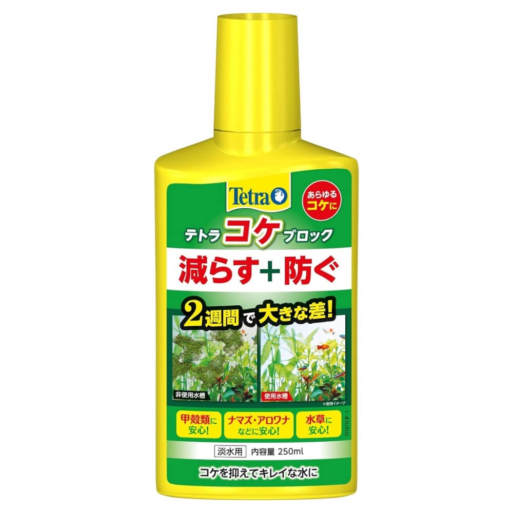 テトラ　コケブロック　２５０ｍL