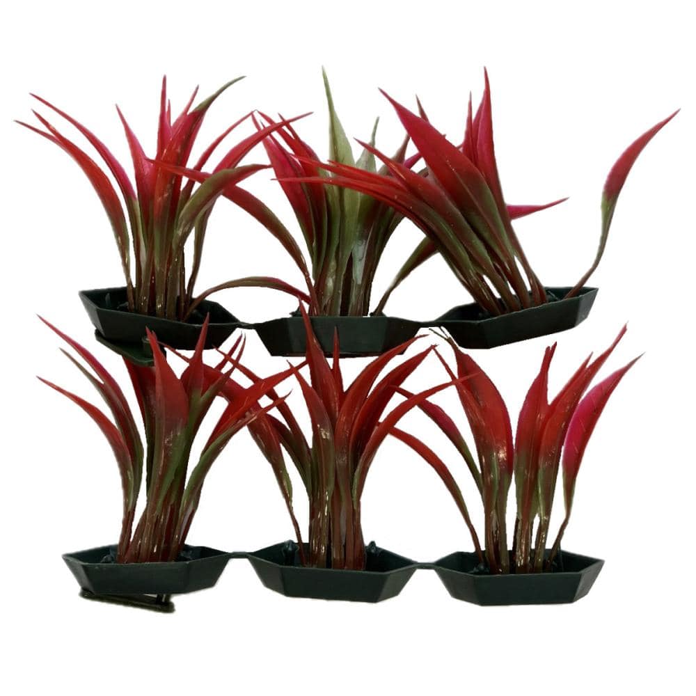 コンビ　観賞魚用　前景用フラワー　２個入り　ＫＡ‐１０３