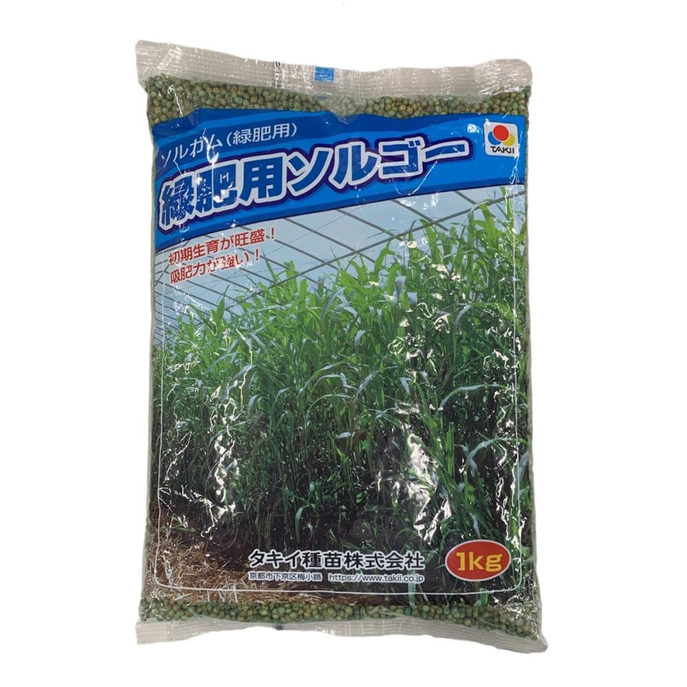 【早期予約・緑肥】　ソルガム　緑肥用ソルゴー　１ｋｇ　【申込期限：３月３１日】