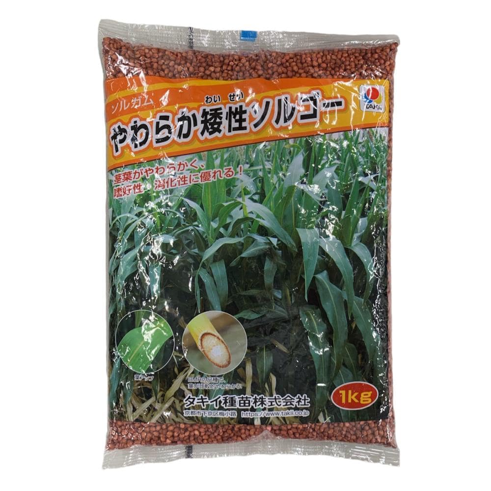 【早期予約・緑肥】　ソルガム　やわらか矮性ソルゴー　１ｋｇ　【申込期限：３月３１日】