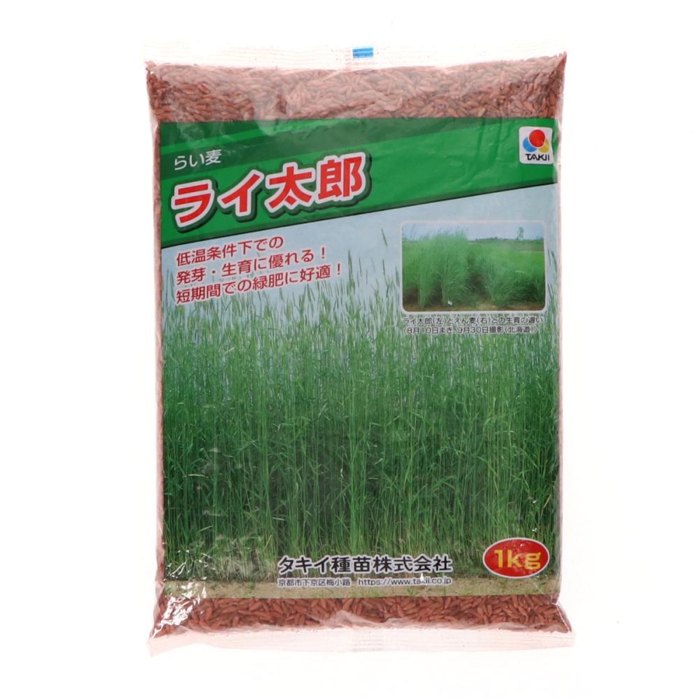 【早期予約・緑肥】　らい麦　ライ太郎　１ｋｇ　【申込期限：３月３１日】